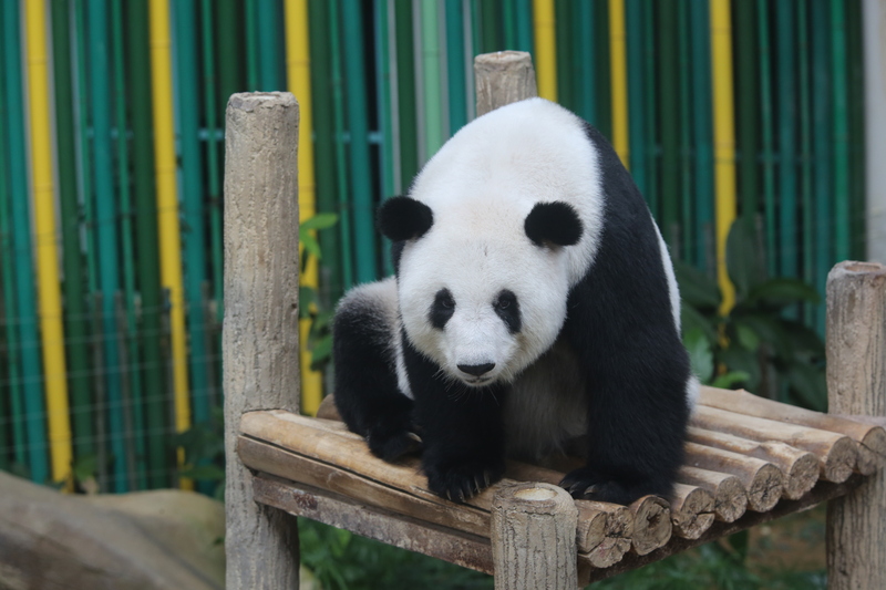 兴兴 靓靓 谢谢十年陪伴 留下美好回忆