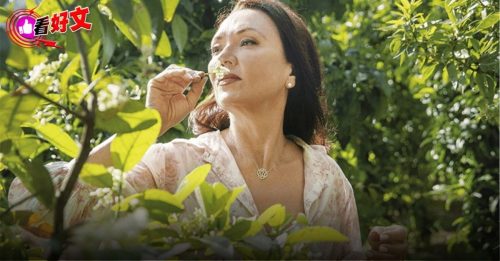 看好文：流行物语 | 编号801 海洋洁白盛宴 