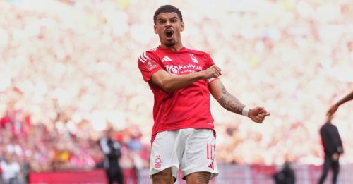 英超｜冲击老三 追逐欧战　森林“蜜蜂”拼到底