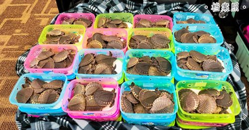 540万受保护动物 成功阻止走私出国