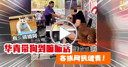 动新闻｜华青带狗到嘛嘛店用餐 各族谴责怒骂！