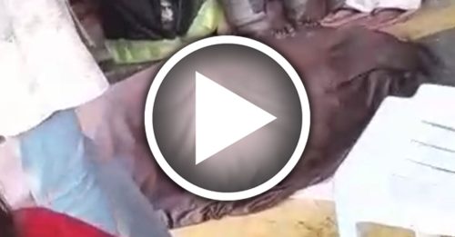 独家‧游街时突呼吸困难 印裔中年猝死