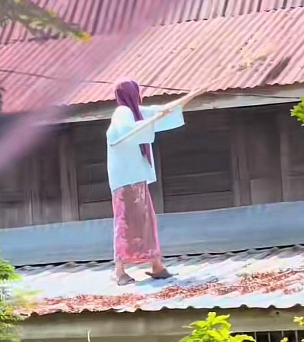 老妇动作熟练的清洁屋顶。（取自Kosmo！）