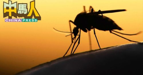 知多点｜确诊出血骨痛热症 血管渗漏 足以致命