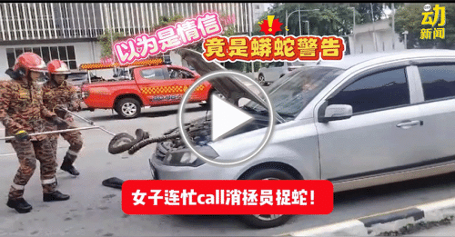 动新闻｜ 一张救命字条 女子逃过与蛇共同车劫数