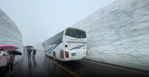 旅游调色盘｜雪壁开门迎客来  樱花铺路泡好汤