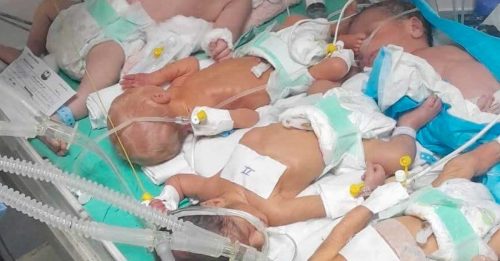 加萨医院能源告急 早产婴共用保温箱命悬一线