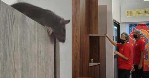 上“搵到食”享点心 惊见“搵食”鼠辈