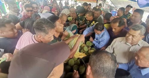 猫山王1粒5令吉 200颗8分钟卖完