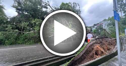 台风“韦帕”袭香港 21人伤！外墙棚架整幅倒塌 大树连根拔起压车