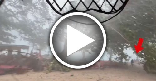 普吉岛大树压死女游客 意外前一刻曝光