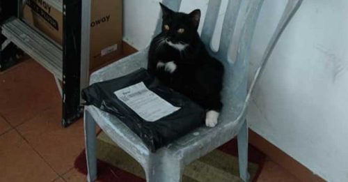 快递到底谁签收？真相曝光笑翻人