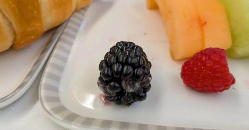 OMG！商务舱乘客 吃到发霉黑莓｜附音频