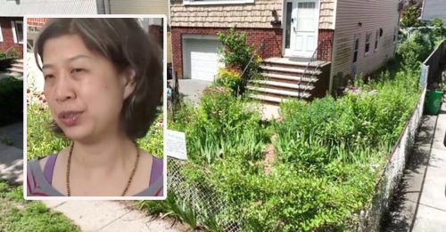前院种植物 被嫌太丑 华裔妇接罚单险破财
