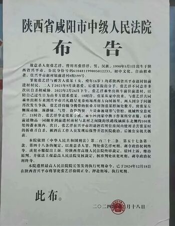 陕西咸阳法院公布一则当地杀人案件调查报告。