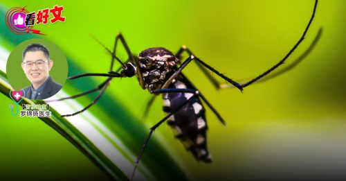 看好文：营接健康｜全民合力实现骨痛热症零死亡目标