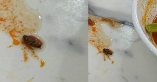 把小蟑螂当炸葱 女子快吃完才发现