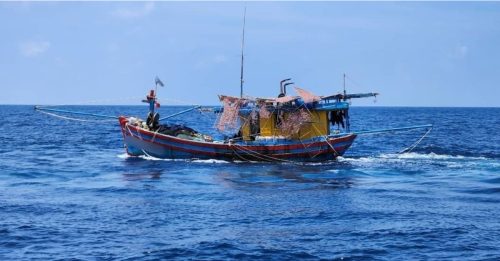 逾10万渔民持证作业？78%为本地人