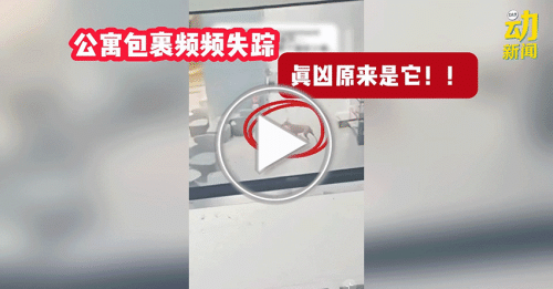 动新闻｜包裹离奇失踪 “真凶“竟是…