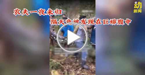 动新闻｜农夫一夜未归 居民隔天意外揭发恐怖真相！