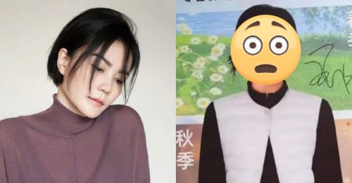 王菲遭品牌拙劣盗图 天后气场秒变中年大婶