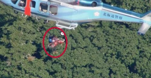 男子遭棕熊袭击 警寻获遗体吊下山