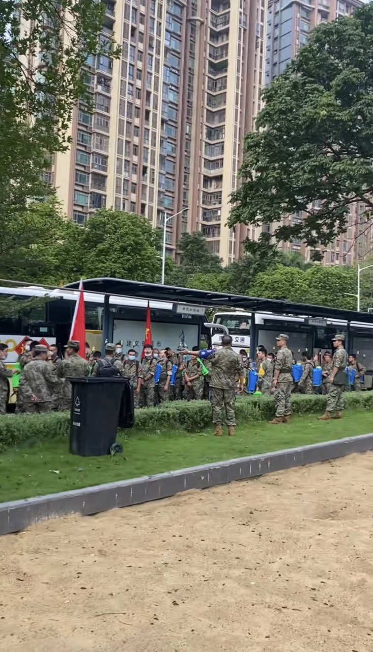 佛山展开灭蚊行动。