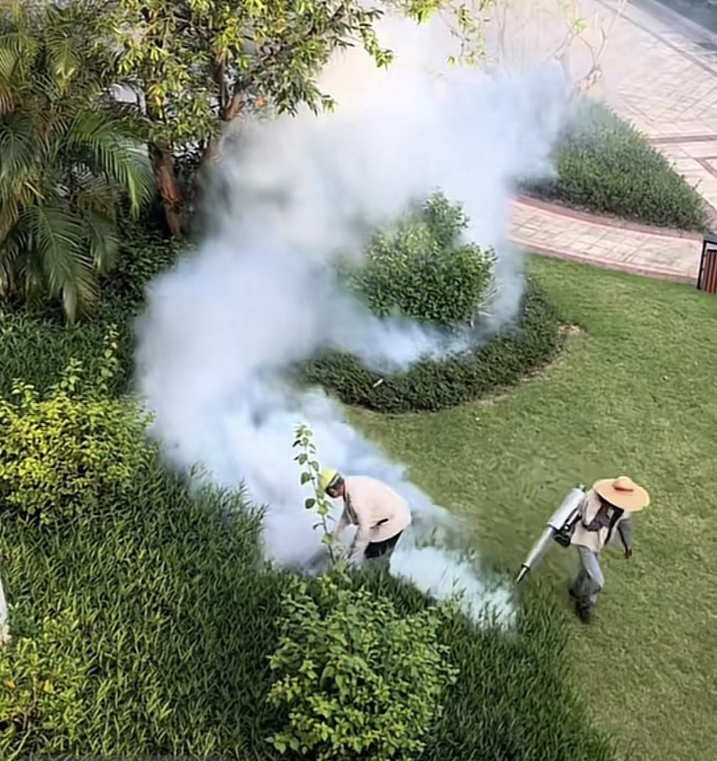 佛山展开灭蚊行动。