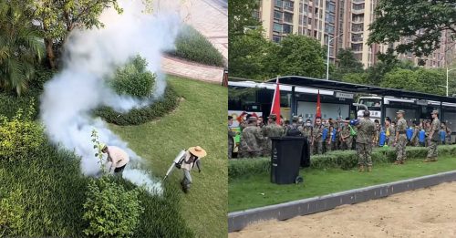 佛山居委会强拆民宅门锁 破户入屋灭蚊