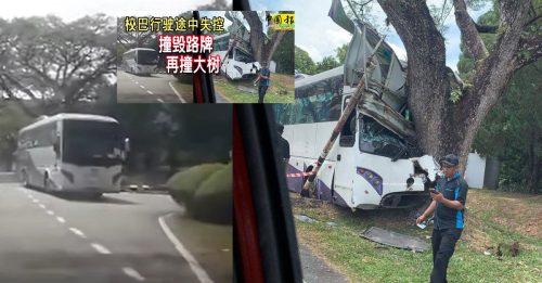 警方证实 逮捕肇祸司机