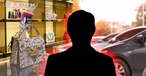 收入汇别人户头 社媒上炫耀奢华 报穷局盯上破产艺人