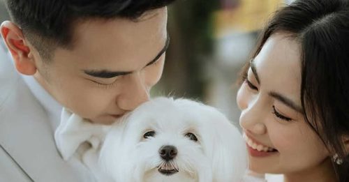 吴世飞大婚 获搭档与好友祝福