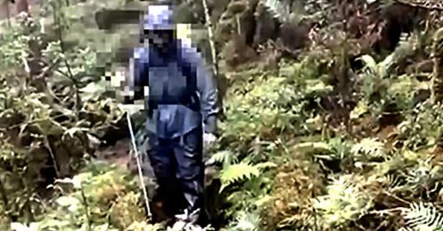 台湾登山遇大雨大雾 大学生体力透支获救