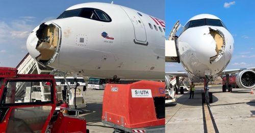 客机遭鸟击紧急返降 骇人照片曝光！