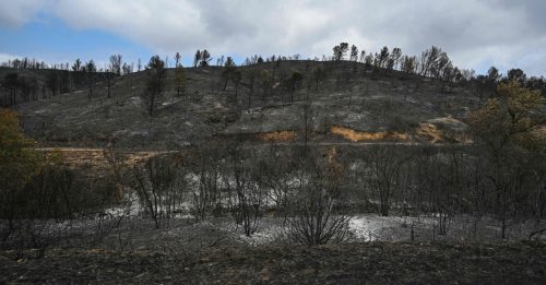 世界气象组织：极端高温影响全球大量人口