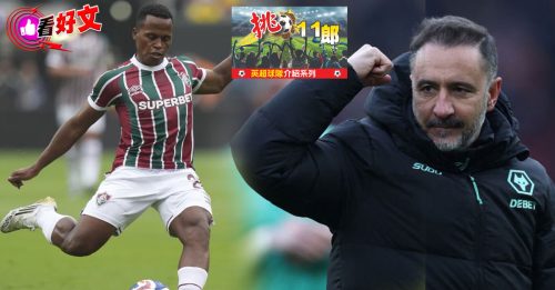 看好文：体坛视野｜英超球队介绍（十三） 佩雷拉救狼成功 新季保级成首要任务