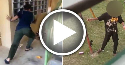 2青少年血腥虐狗 绑着半空中狂摆荡