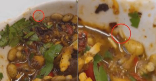 火锅惊见活蛆蠕动 商家：这是蛋白质