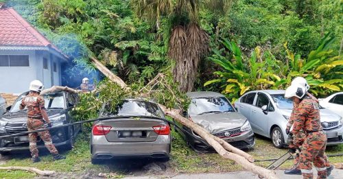 大树倒下压毁3车 另波及7车