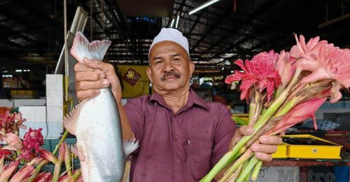 姜花需求旺盛 小农夫也能赚大钱