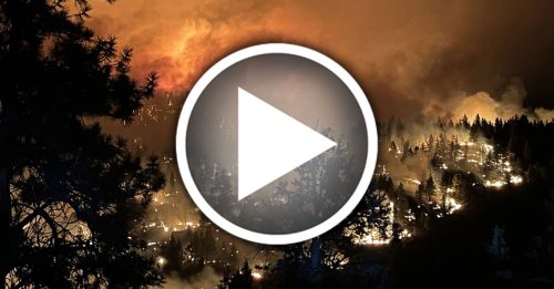 高温与强风助势 美西部林火狂烧