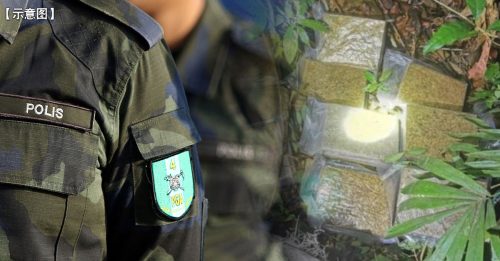 司机见警开车逃 草丛起获30万大麻砖