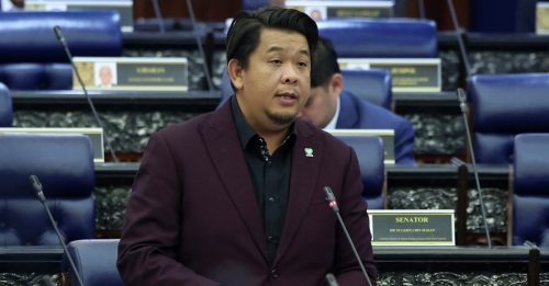 释放沃尔巴克氏菌黑斑蚊奏效 部分地区骨痛热症病例降至零