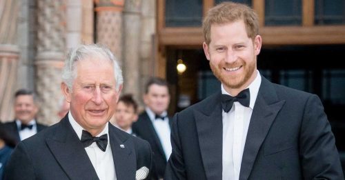 英媒：哈里下月见查理斯 20个月来首次！