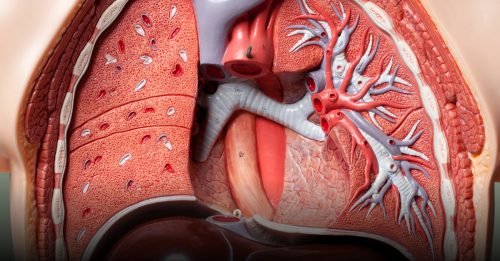 健康百科｜常呼吸短促 小心肺栓塞