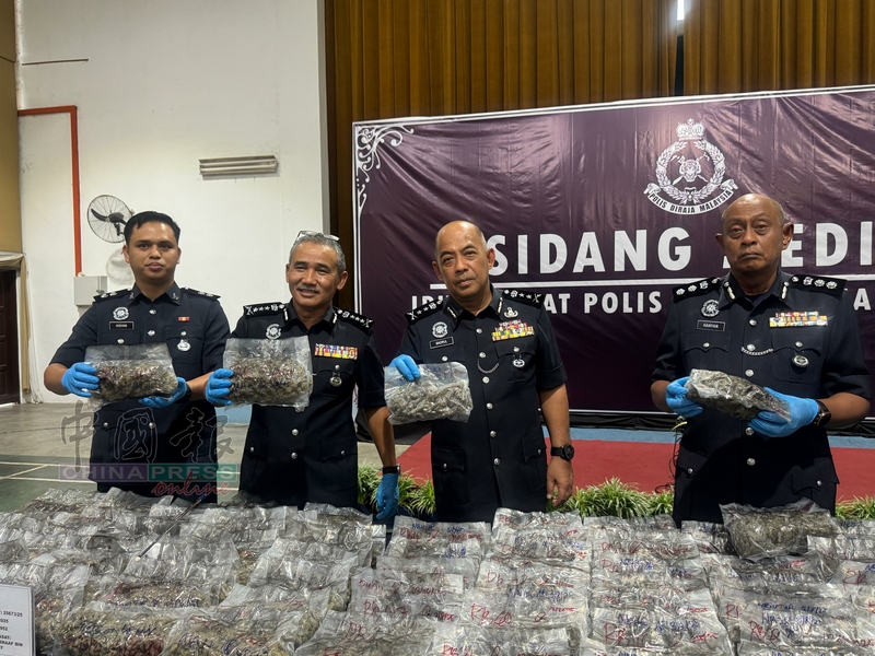 阿兹里（左2）、汉严（右）及其他警员，展示起获的大麻花。