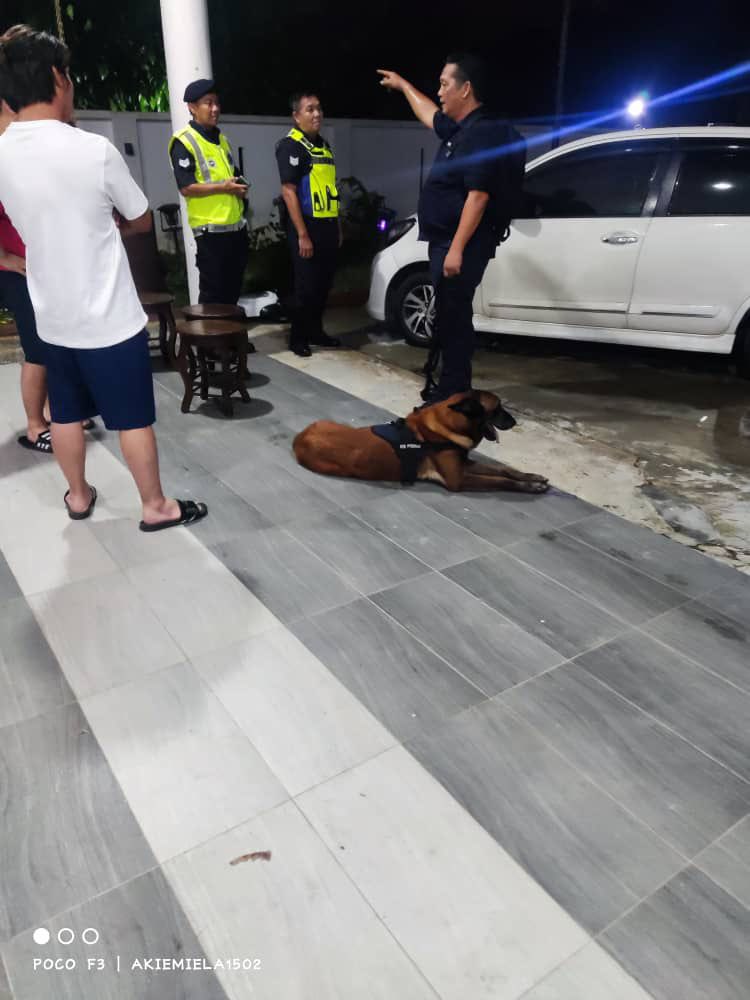 K9搜救犬在住家周围展开搜寻。