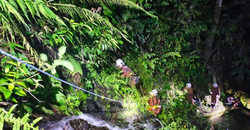 森林采集野菜臭豆失足 男子坠落瀑布丧命