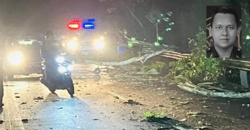 王宫随扈骑摩哆上班 大树倒闪避失控丧命