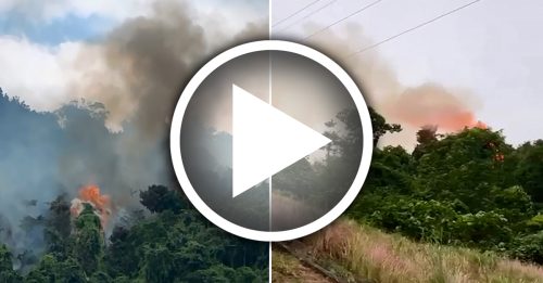 FRIM邻近 森林保留区 今午发生林火